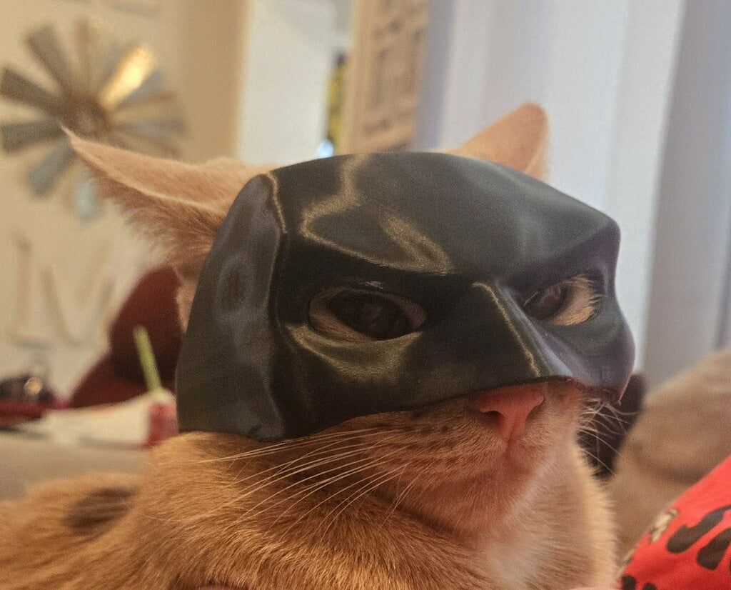 Batman cat mask