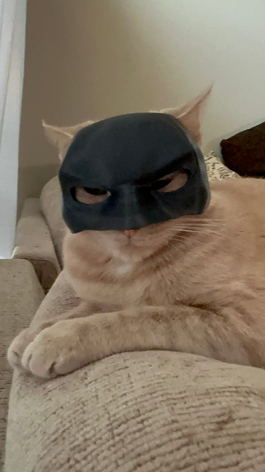 Batman cat mask